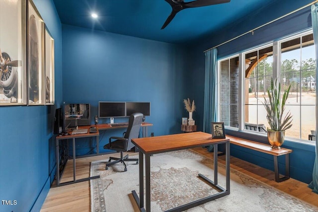 office space featuring ceiling fan and light hardwood / wood-style flooring