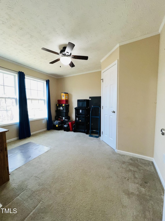 interior space featuring crown molding, carpet flooring, ceiling fan, and a textured ceiling