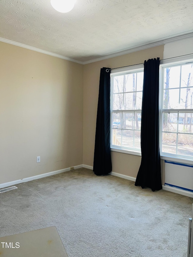 empty room featuring light colored carpet, ornamental molding, and a textured ceiling