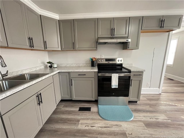 kitchen featuring gray cabinets, sink, and stainless steel range with electric stovetop