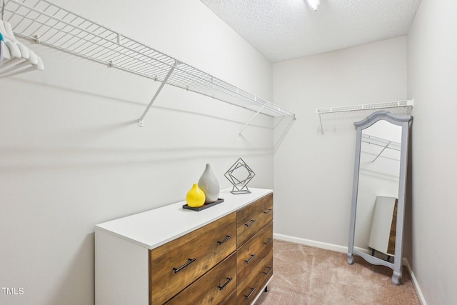 walk in closet with light colored carpet