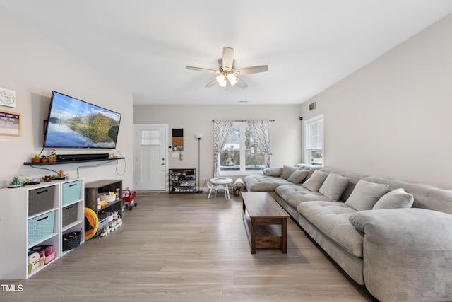 living room featuring ceiling fan and light hardwood / wood-style flooring