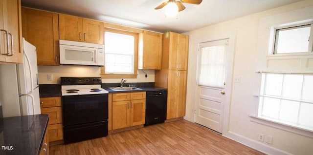 kitchen with ceiling fan, white appliances, sink, and light hardwood / wood-style flooring