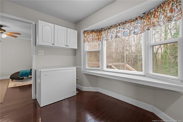 washroom featuring dark wood-type flooring, a wealth of natural light, and ceiling fan