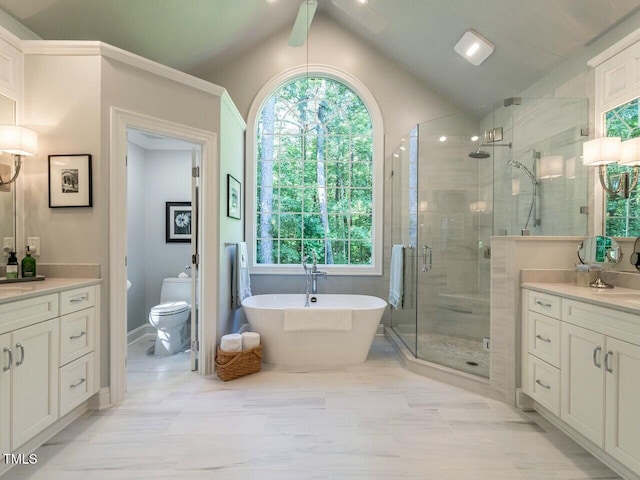 full bath featuring vaulted ceiling, a wealth of natural light, a shower stall, and vanity