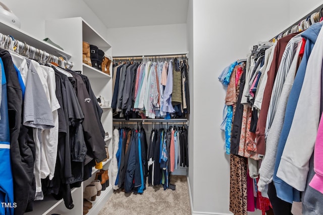 spacious closet featuring carpet flooring