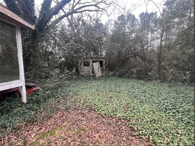 view of yard with a storage unit