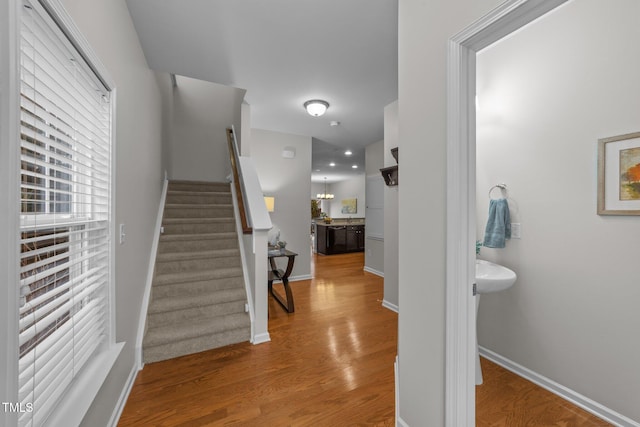 stairs featuring hardwood / wood-style floors