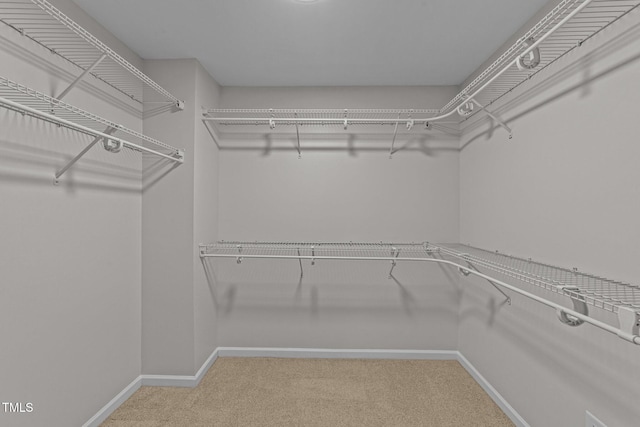 walk in closet with carpet floors