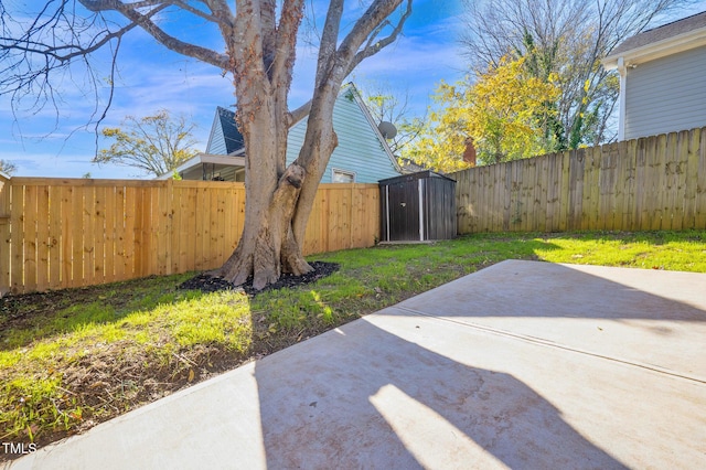 view of yard with a storage unit and a patio area