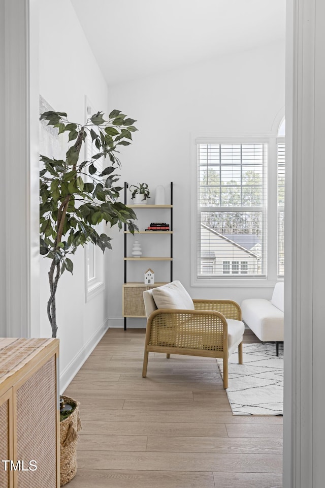 living area with light wood finished floors