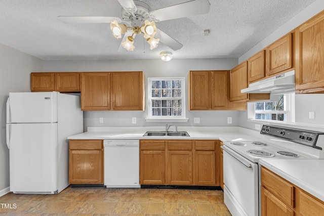 kitchen featuring ceiling fan, sink, a textured ceiling, and white appliances