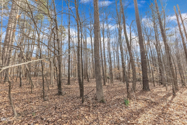 view of local wilderness