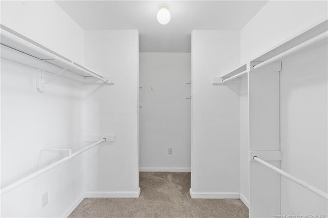 spacious closet featuring carpet