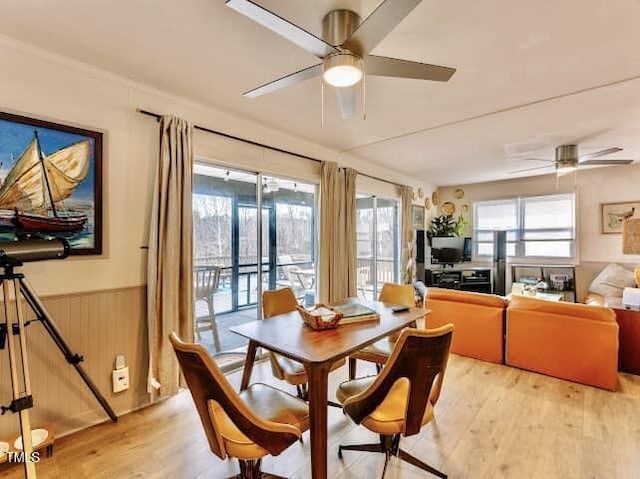 dining space with ceiling fan, wooden walls, and light hardwood / wood-style floors