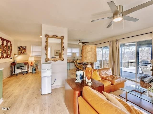 living room featuring ceiling fan and light hardwood / wood-style flooring