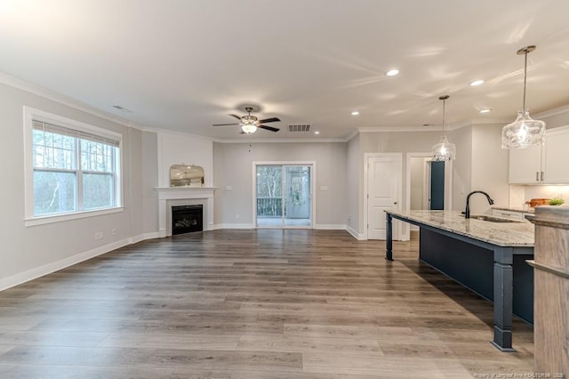 kitchen with ceiling fan, sink, crown molding, and dark hardwood / wood-style floors