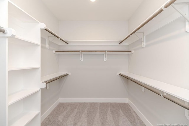 walk in closet featuring light colored carpet