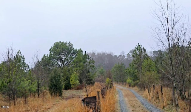 view of road featuring a forest view