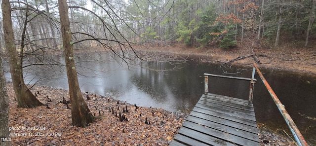 dock area with a water view