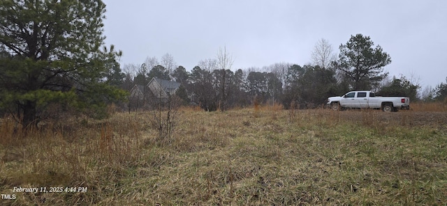 view of local wilderness