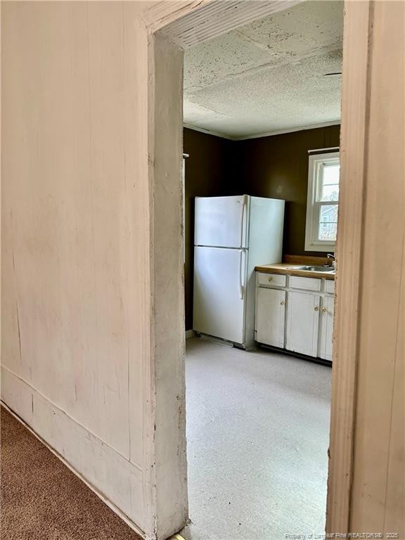 kitchen with sink, a textured ceiling, and white refrigerator