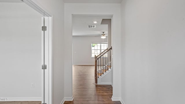 hall featuring dark wood-type flooring