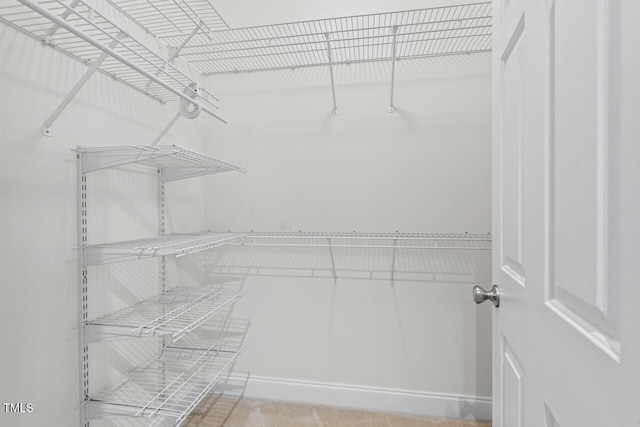 view of walk in closet