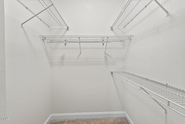 spacious closet with carpet flooring