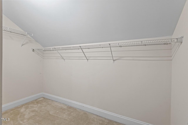 walk in closet featuring carpet