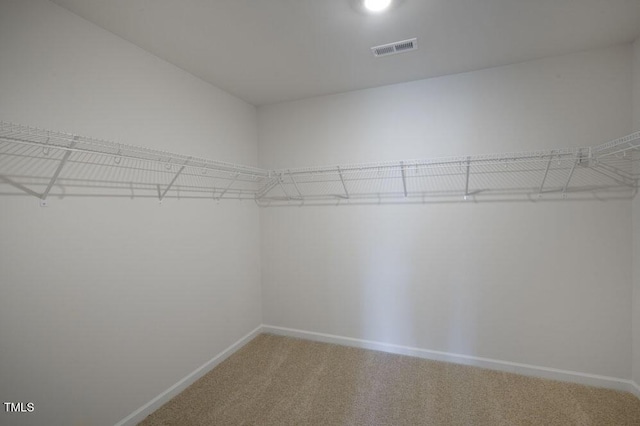 walk in closet featuring carpet