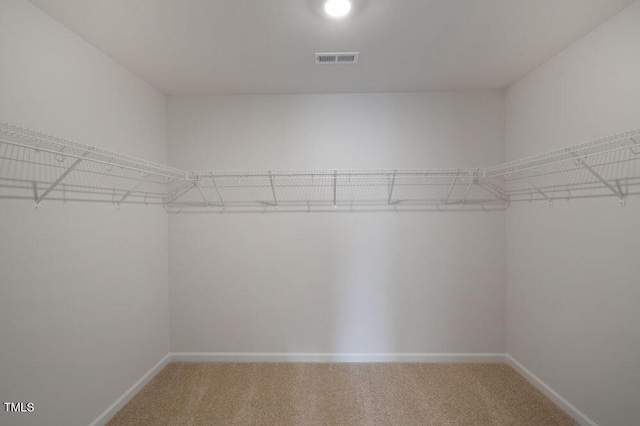 spacious closet featuring carpet floors