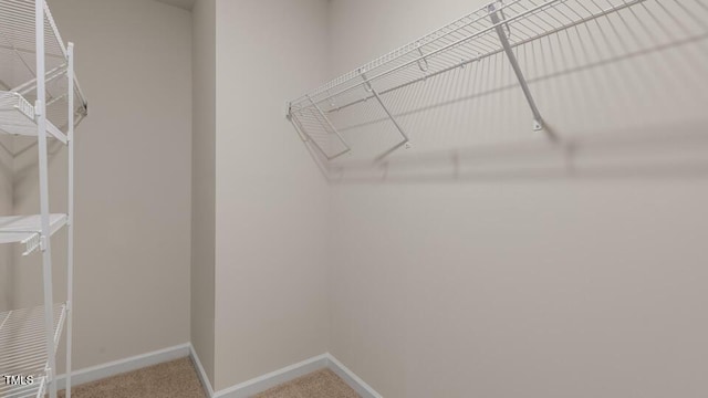 spacious closet with carpet floors