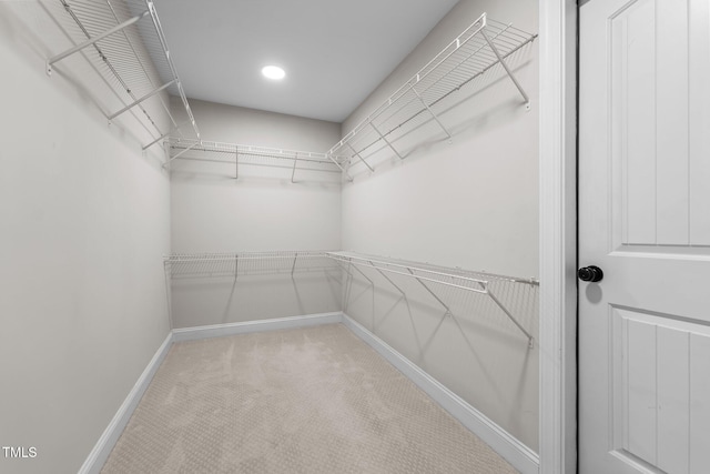 walk in closet with carpet floors