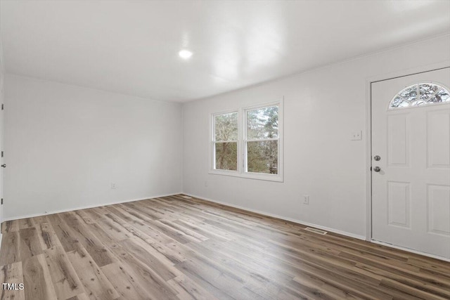 entryway featuring a healthy amount of sunlight and wood-type flooring