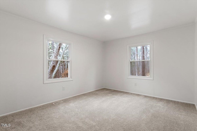 carpeted empty room featuring a healthy amount of sunlight