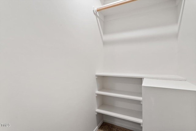 spacious closet featuring carpet floors