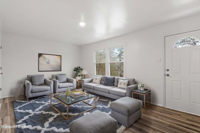 living room featuring dark wood-type flooring and a healthy amount of sunlight