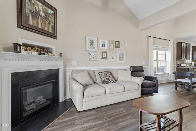 living room with high vaulted ceiling, a glass covered fireplace, and wood finished floors