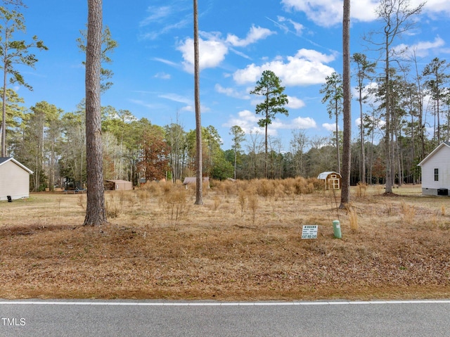 156 Roberdell School Rd, Rockingham NC, 28379 land for sale