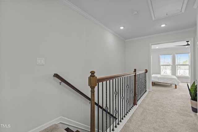 hall featuring ornamental molding and carpet floors