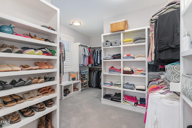 spacious closet with light colored carpet