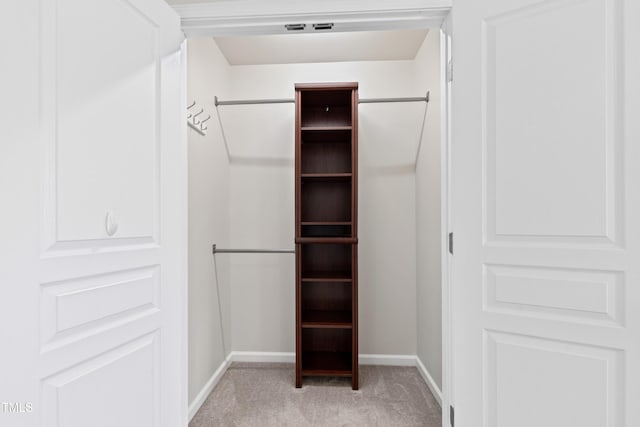 spacious closet with light colored carpet