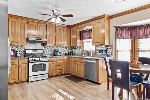 kitchen featuring sink, decorative backsplash, ceiling fan, light hardwood / wood-style floors, and stainless steel appliances