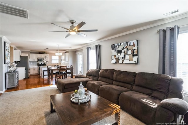 living room featuring ceiling fan, ornamental molding, and dark hardwood / wood-style floors