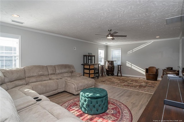 living room featuring ornamental molding, hardwood / wood-style floors, and a textured ceiling