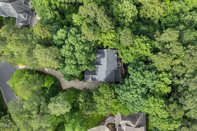 216 Copper Beech Ct, Chapel Hill, NC 27517 - photo 53