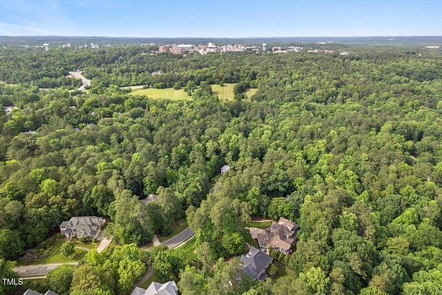 216 Copper Beech Ct, Chapel Hill, NC 27517 - photo 56