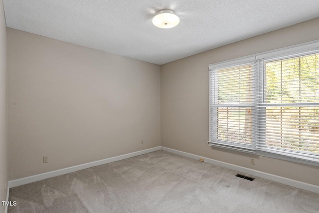 empty room featuring light colored carpet and a textured ceiling