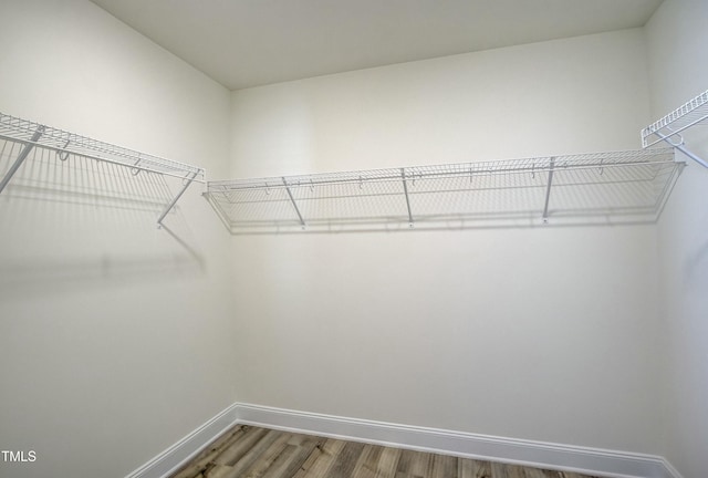 spacious closet with hardwood / wood-style floors